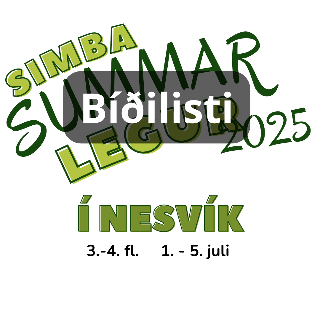 Summarlega 3-4 flokk, Nesvík BÍÐILISTI