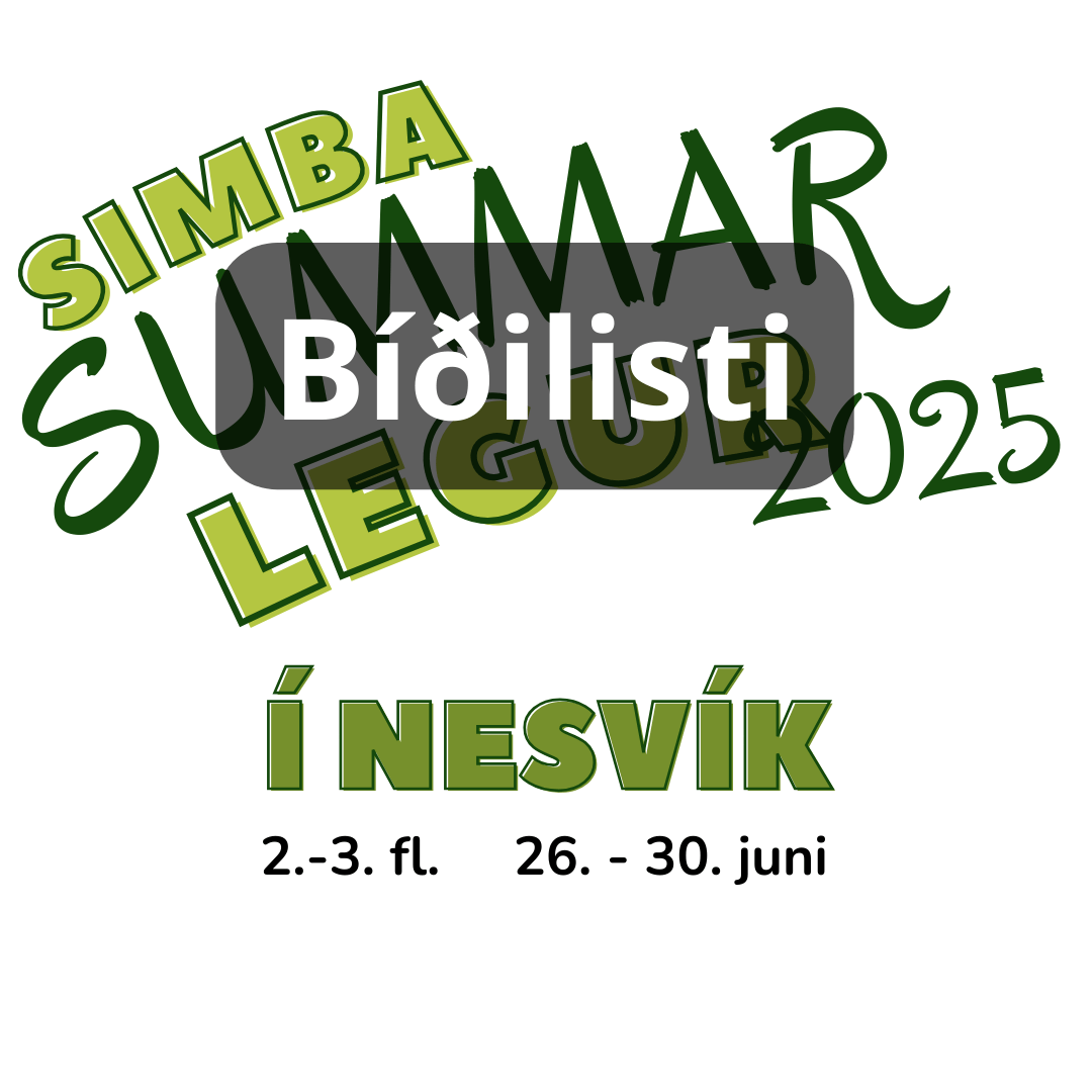Summarlega 2-3 flokk, Nesvík BÍÐILISTI