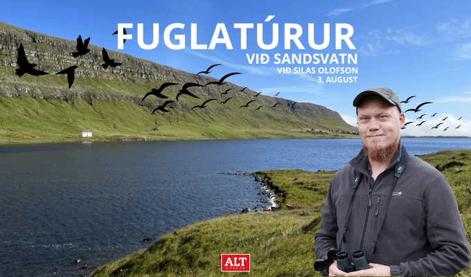 Fuglatúrur við Sandsvatn
