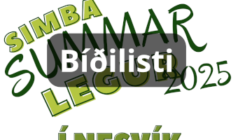 Summarlega 3-4 flokk, Nesvík BÍÐILISTI