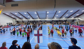 Árliga fimleikaframsýningin hjá FLOG