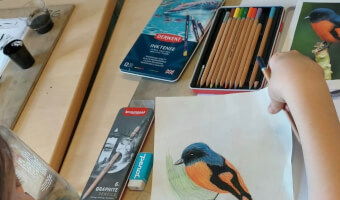 Tekniskeið fyri børn og ung við Janus Dam Guttesen