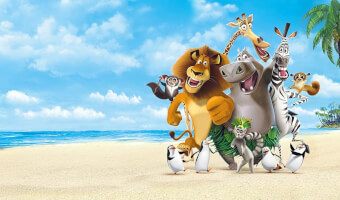 Madagaskar - Sangleikurin