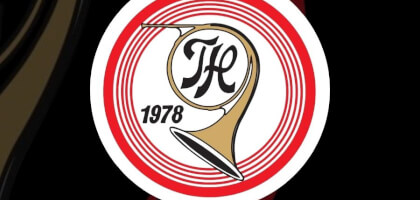 Stuðulstiltak í SALT