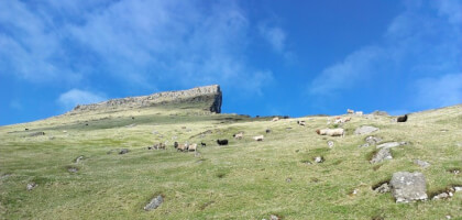 Búnaðarstevnan 2026