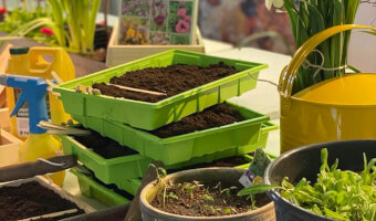 Sáa og planta við Almu og Anette