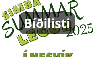 Summarlega 4-5 flokk, Nesvík BÍÐILISTI