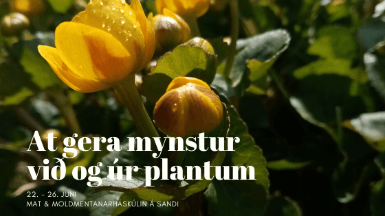 At gera mynstur við og úr plantum
